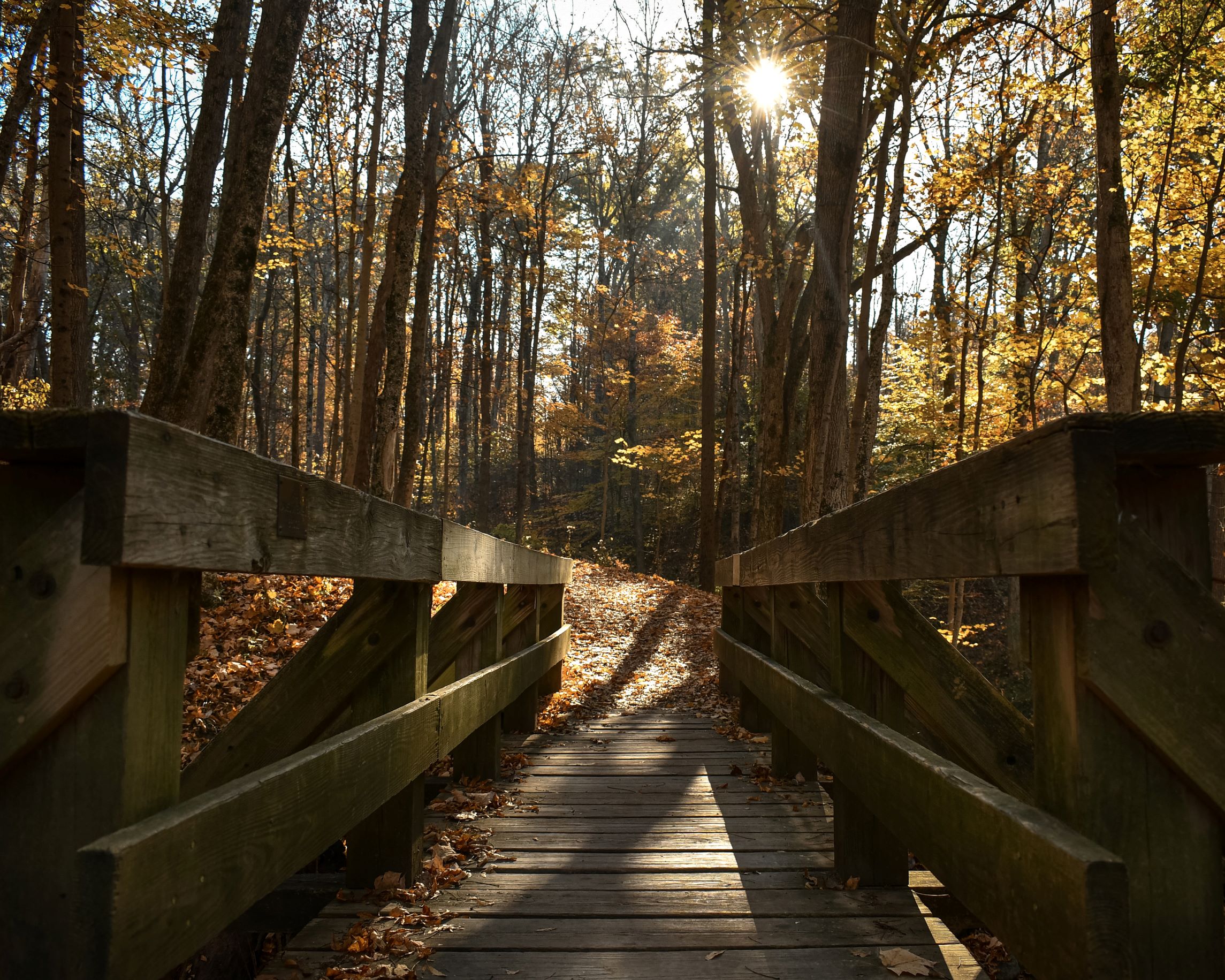 a wooden bridge on a trail in fall 